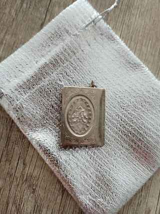 Libro antiguo alpaca