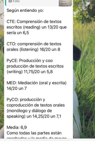 Clases de ingles online con nativa