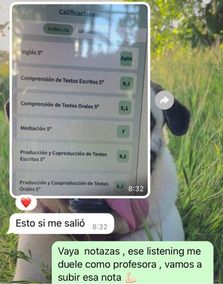 Aprende ingles con nativa online 
