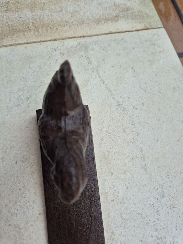 Tope de puerta con un gallo 🐓 de metal