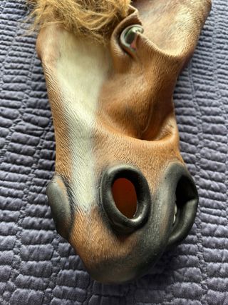 Careta de caballo