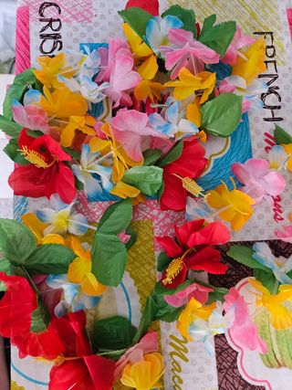 Accesorios Hawaiano Carnaval