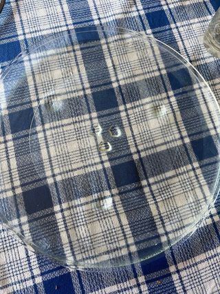 Plato microondas 34cm