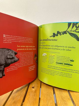 Libro La salud en la época romana