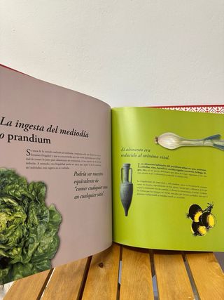 Libro La salud en la época romana