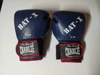 Guantes boxeo Charlie 14oz