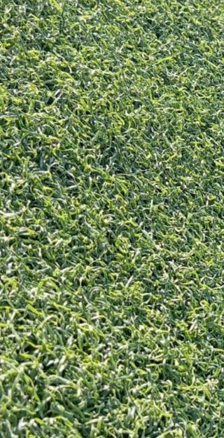 Césped artificial ♻️de primera