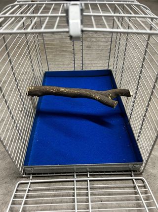 Transportin para aves, reptiles.