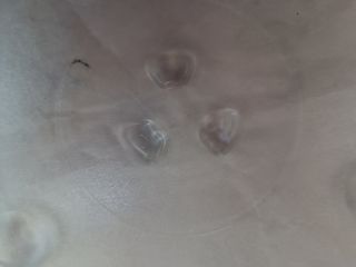 Plato microondas 