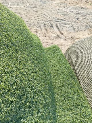 Césped ♻️promoción ‼️