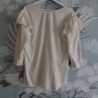Camisa con volantes Zara edición Limitada. XS