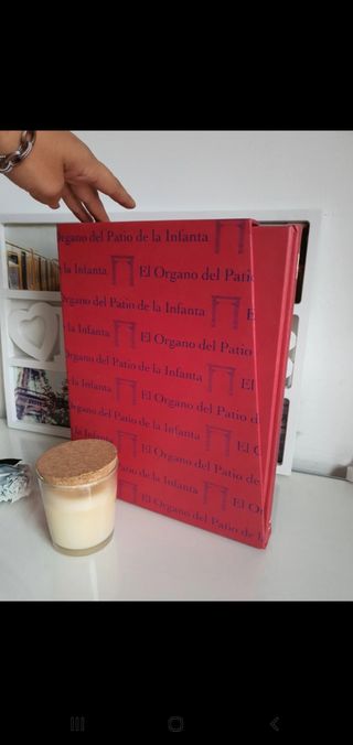 El organo del Patio de la Infanta 1995