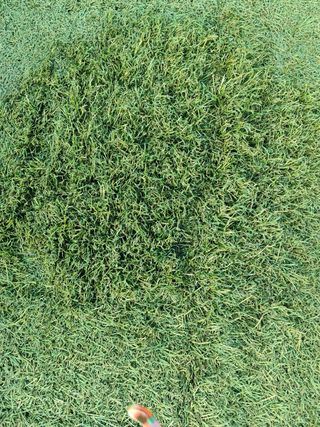 CESPED ARTIFICIAL