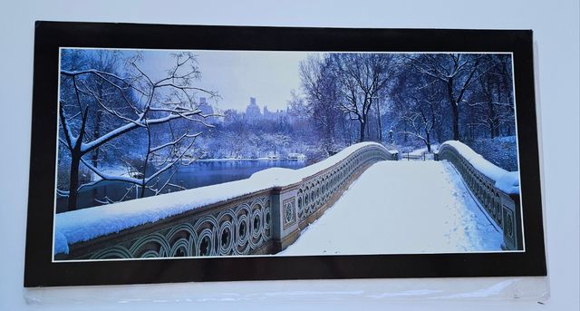 Lámina puente central Park