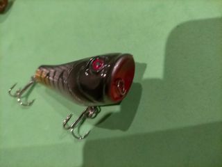 5 Señuelos artificiales pesca mar depredadores.