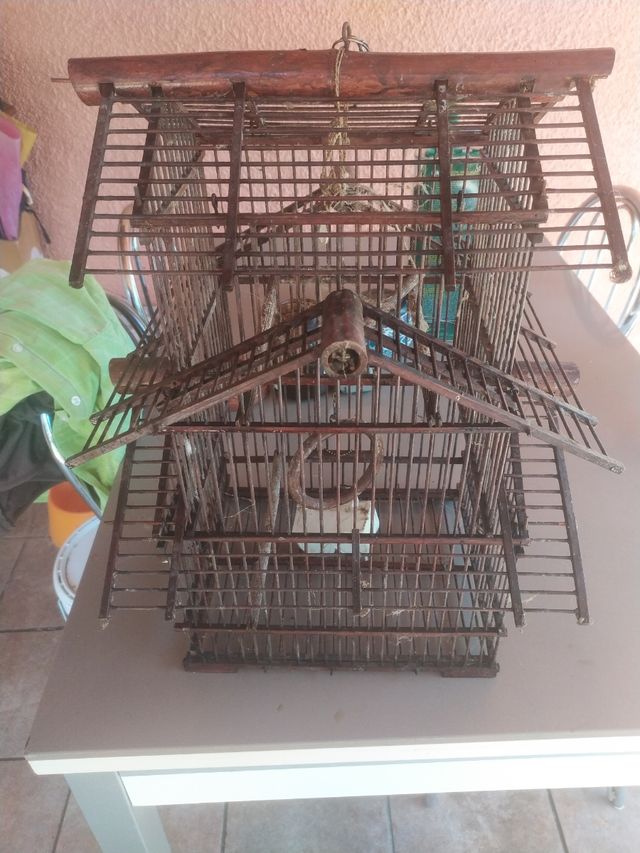 Jaula decoración