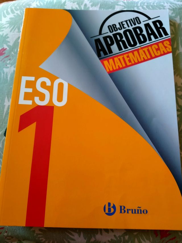 Libros de texto de 6 de primaria, y de 1 de la eso