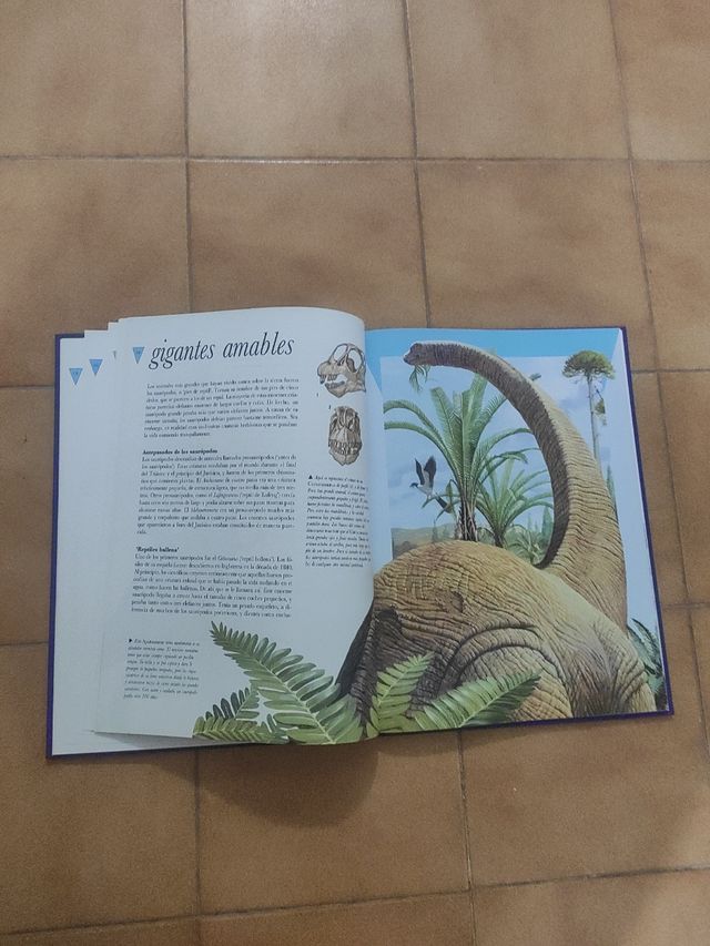 El libro ilustrado de los dinosaurios.