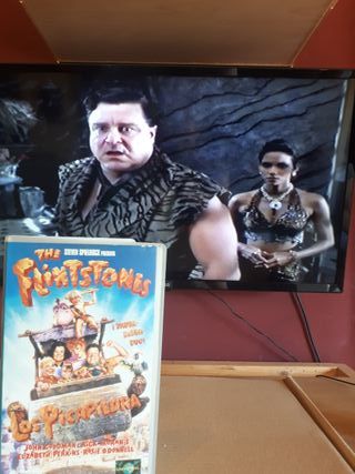 LOS PICAPIEDRA VHS