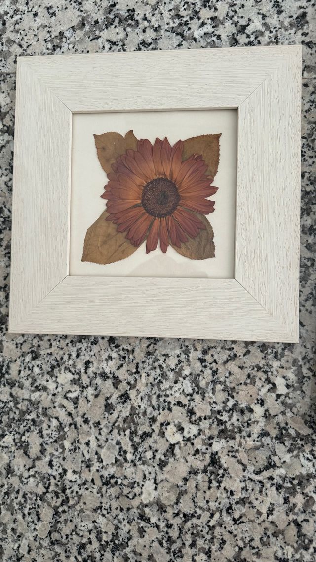 3 Cuadros con flores secas