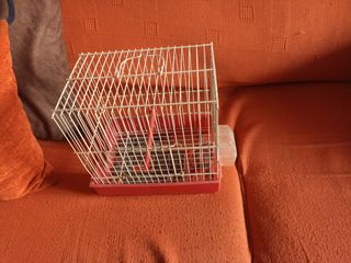 Jaula pájaros canarios jilguero