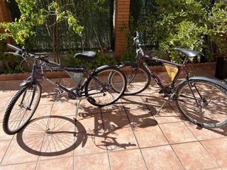 Bicicletas de montaña 26”
