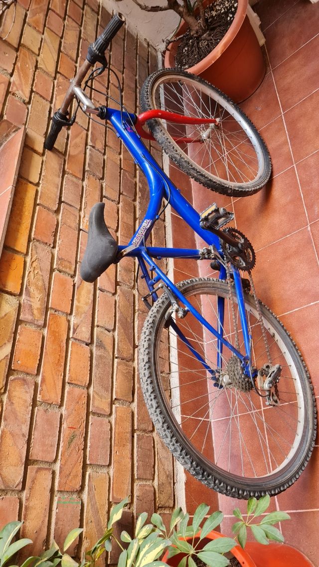 Regalo Bicicleta por la compra de algo