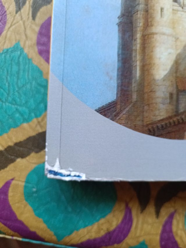 Lingua e letteratura 1° liceo