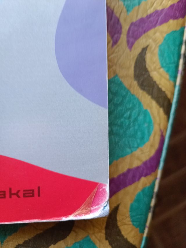 Lingua e letteratura 1° liceo