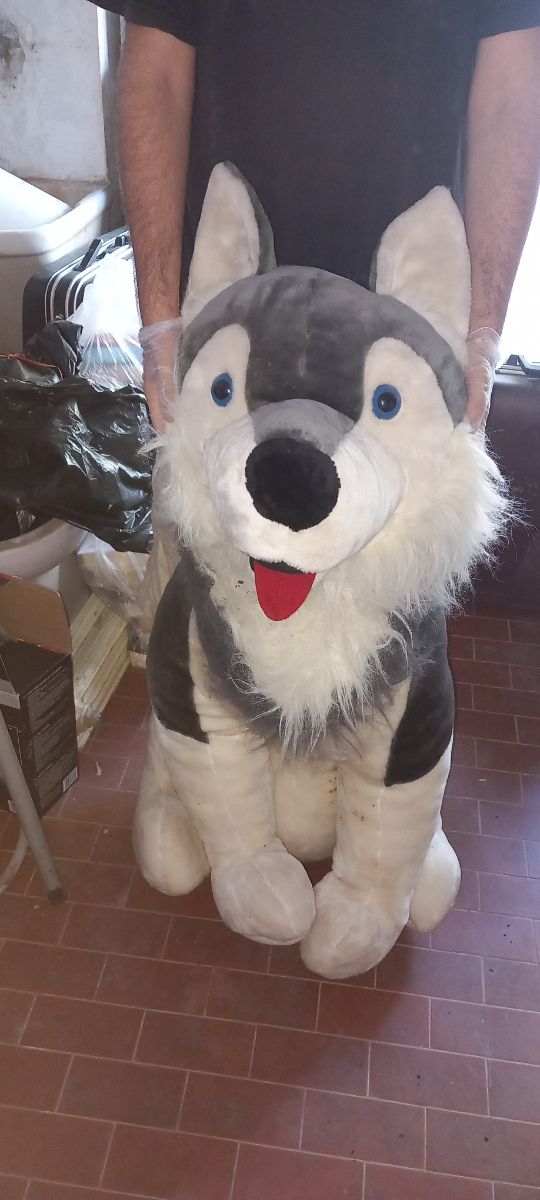 Peluches husky