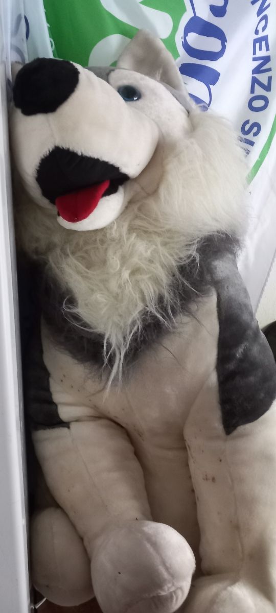 Peluches husky