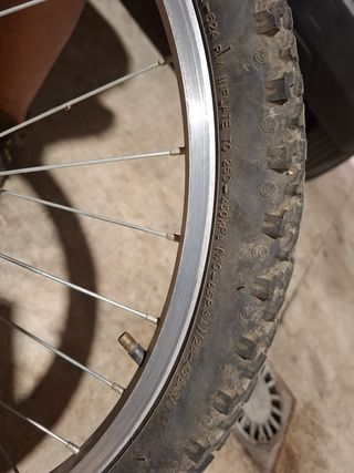 BICICLETA