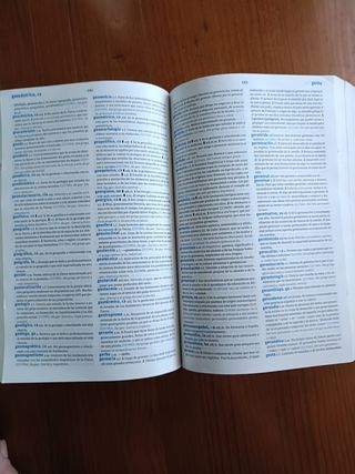 Diccionario Secundaria y Bachillerato SM