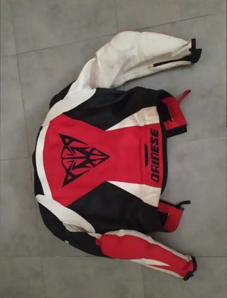 chaqueta  Dainese