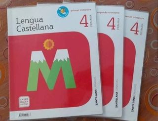 LOTE LIBROS 4 PRIMARIA