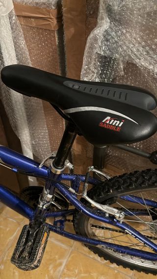 Bicicleta de montaña