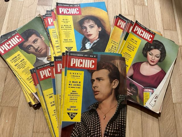 Revista femenina Picnic