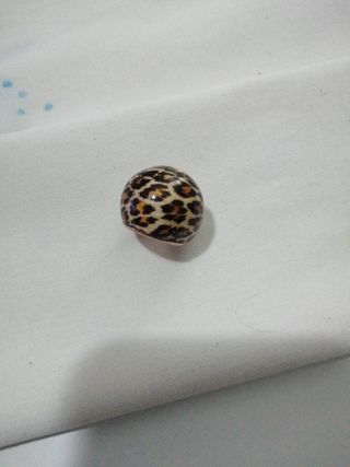 Anillo