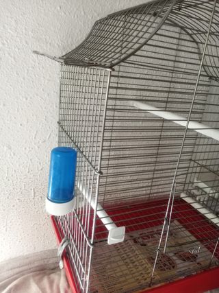Jaula canarios
