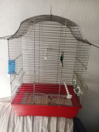 Jaula canarios
