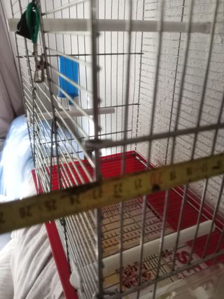 Jaula canarios