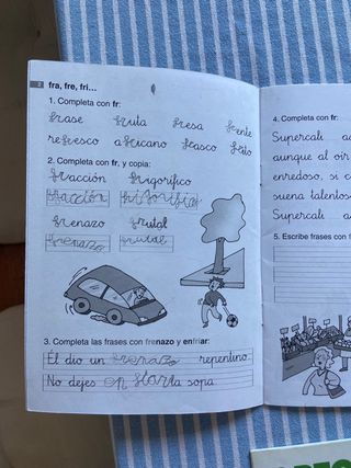Lote de cuadernillos de ortografía