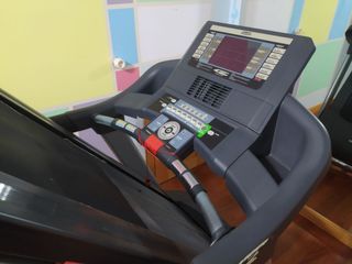 Cinta BH fitness domfit f3 