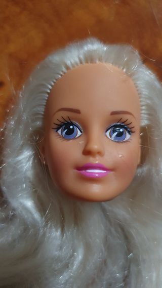 CABEZAS DE BARBIE Y SINDY