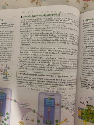 biologia 2bach bruño