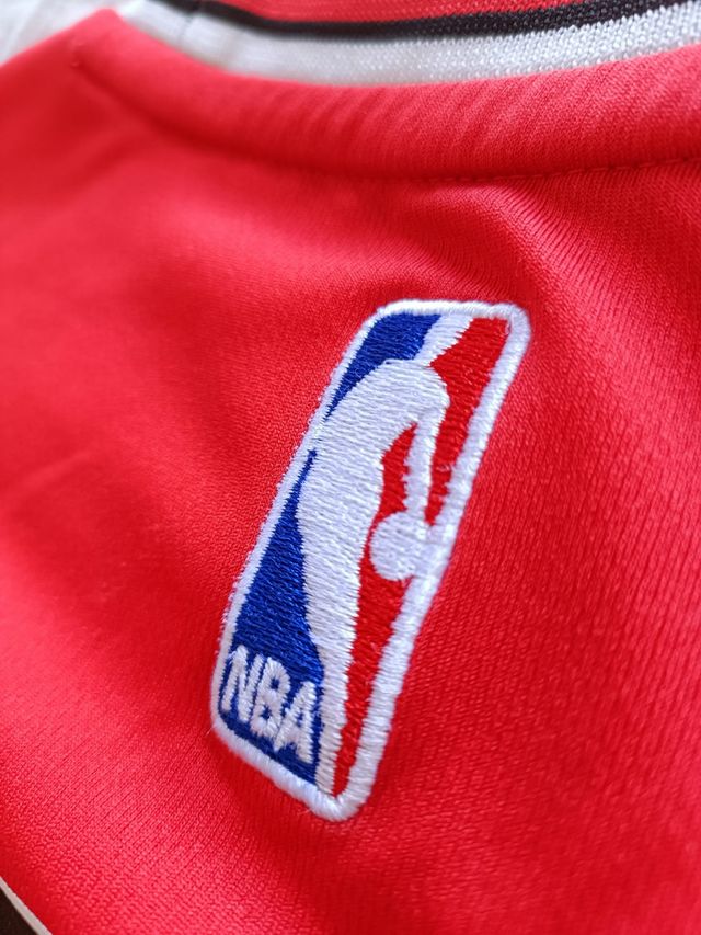 Camiseta NBA Rose 2011