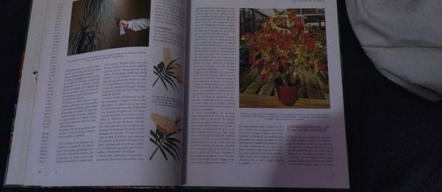 El gran libro de la jardinería