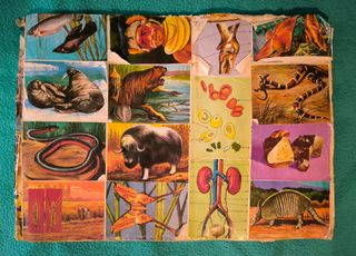 Album Vida y color 3