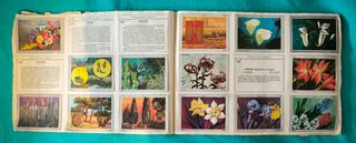 Album Vida y color 3