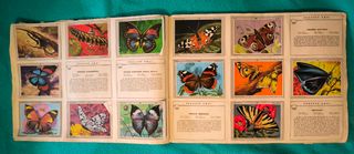 Album Vida y color 3